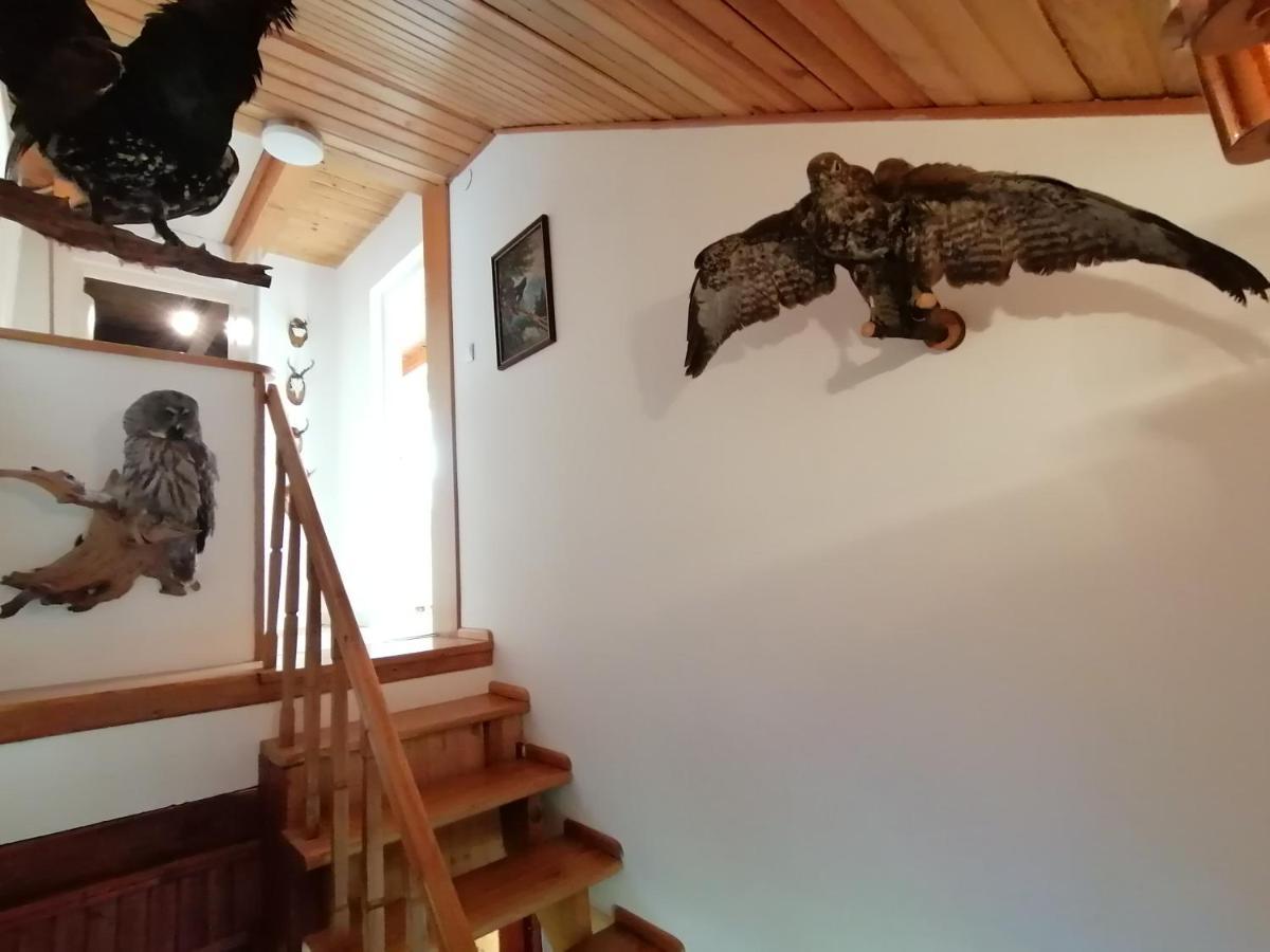 Dom Wakacyjny Brenna Dış mekan fotoğraf